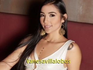 Vanesavillalobos