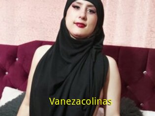 Vanezacolinas