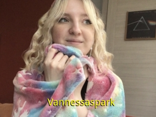 Vannessaspark