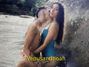 Venusandnoah