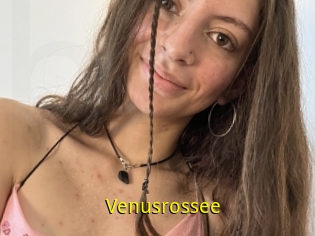 Venusrossee