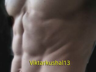 Viktarkushal13