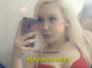 Xoxosnowbunny