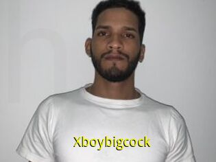 Xboybigcock