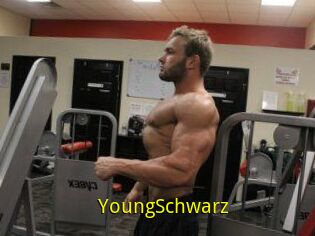 YoungSchwarz