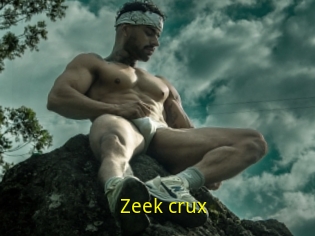 Zeek_crux